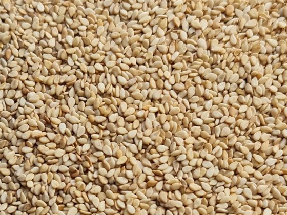 NIGERIA-SESAME.jpg