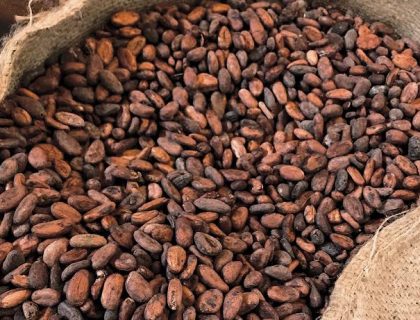 cocoa